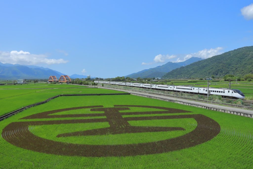 ▲臺鐵行經玉里至富里路段，綠油油稻海一片。