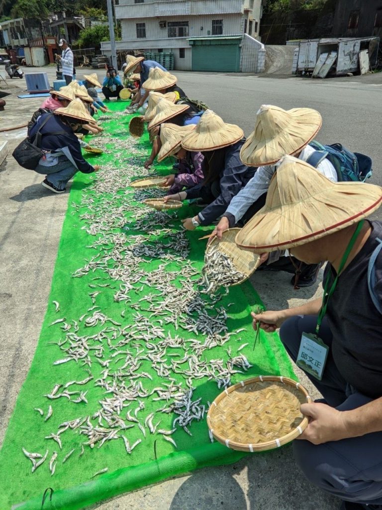 ▲曬魚乾的活動成為遊興大增的項目。（圖/新北漁業處 提供）