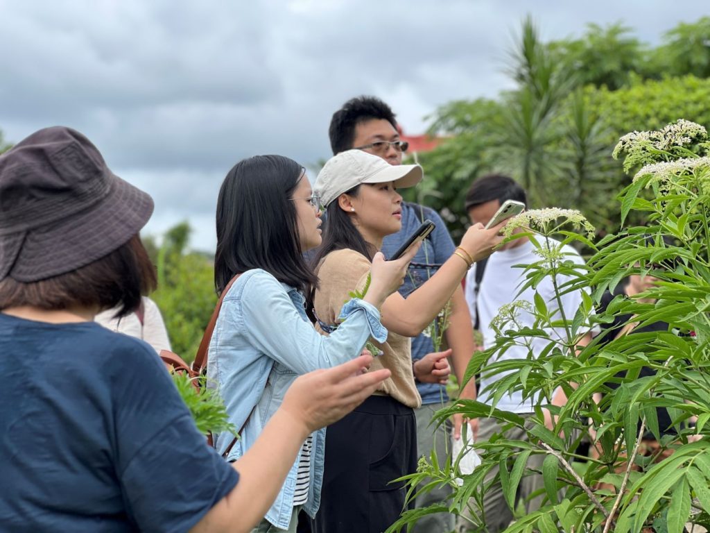 ▲三芝北新庄仔農藝小旅行受到民眾的正面好評。（圖/新北農業局 提供）