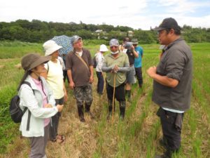 ▲新北水鳥保育培力課程正式開課。