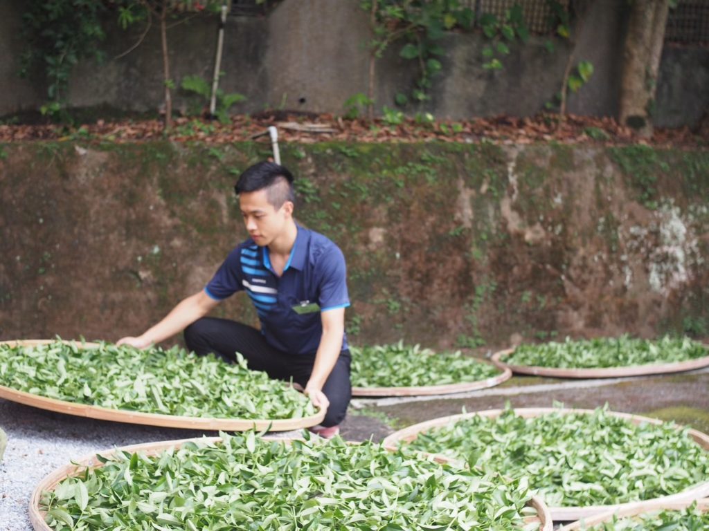 ▲製茶技術考驗茶農的競賽成績與結果。（圖/新北市農業局 提供）