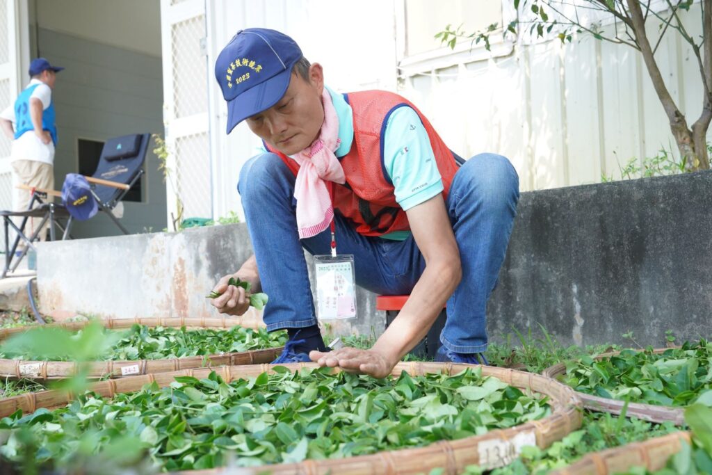 ▲茶農王翰揚專注萎凋技術而獲獎。（圖/新備農業局 提供）