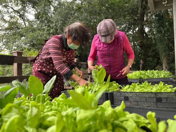 ▲新北農業局於再生社區推廣綠色照顧。（圖/新北農業局 提供）