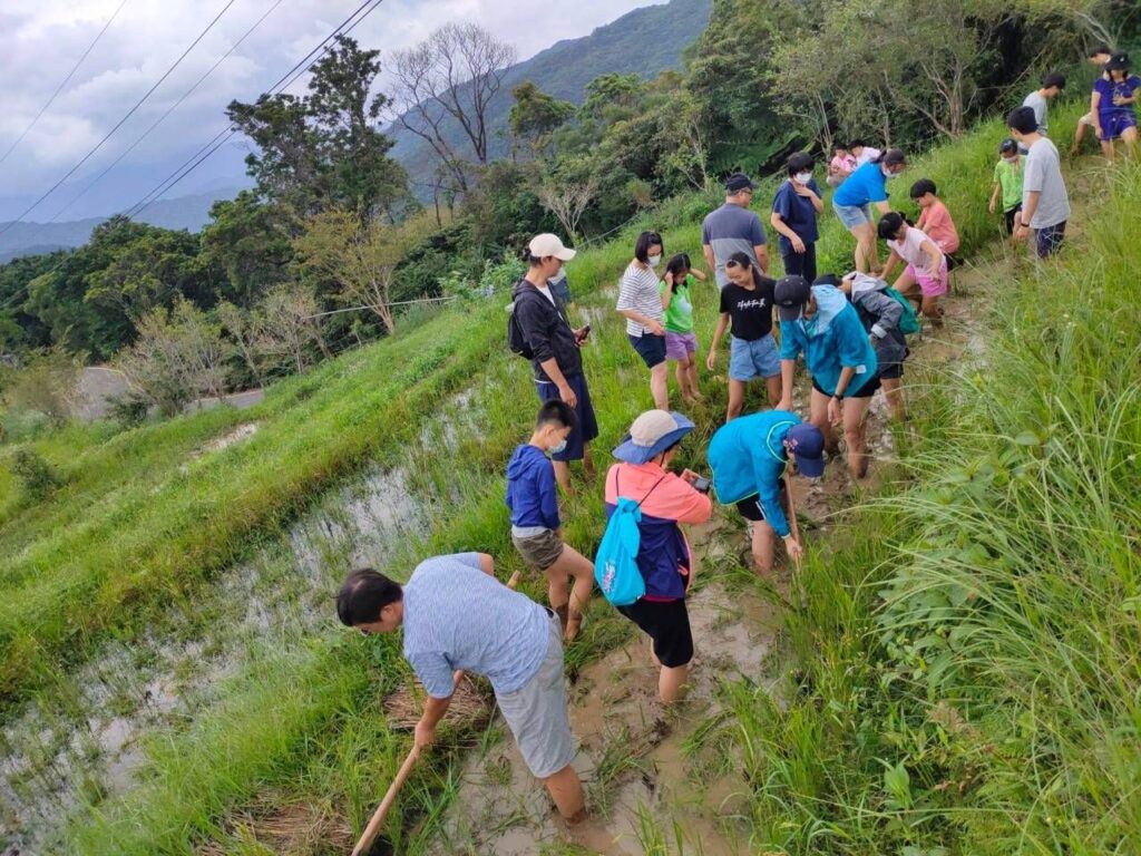 ▲新北市政府水保生態營活動受到學童的歡迎。（圖/新北市農業局 提供）