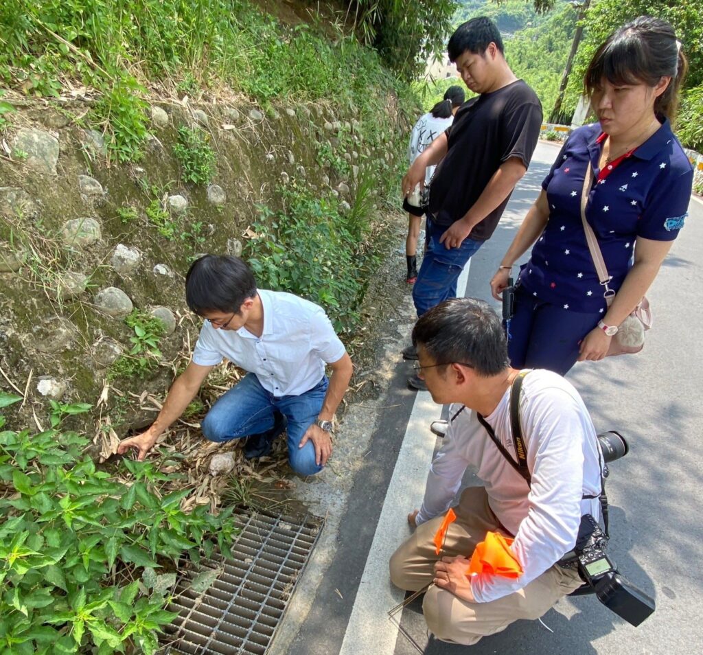 ▲防陸蟹路殺的宣導在新北市農業局的細心規畫執行下益見成效。（圖/新北市農業局 提供）