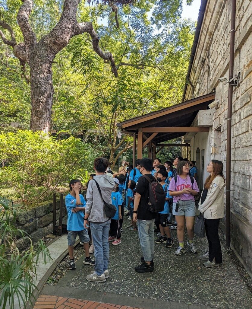 南門館戶外園區種植許多樟樹，萬里區崁腳國小將協助調查樟樹的生長情形，進行健康檢查，學習植物調查。（圖/文化部提供）