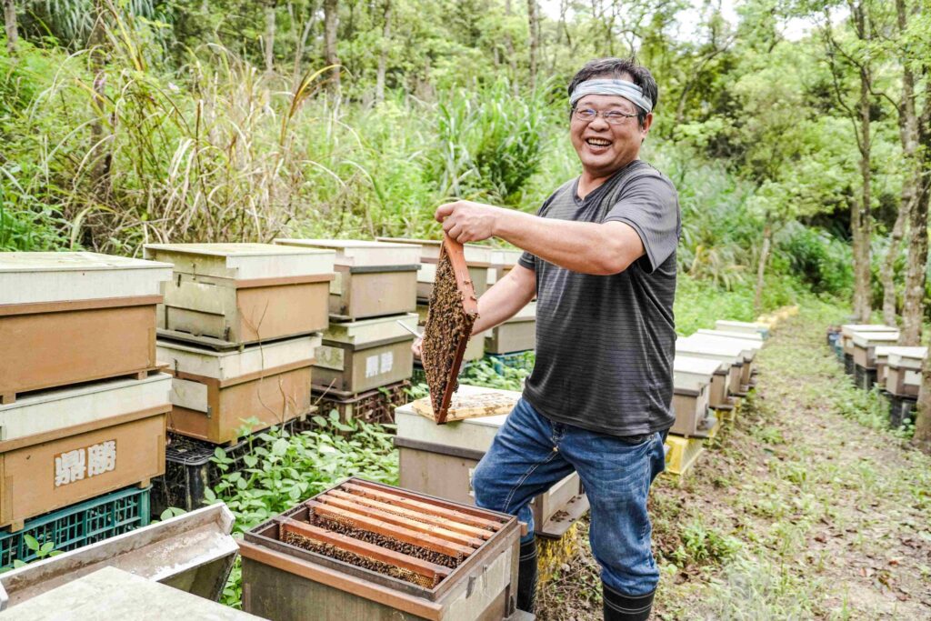 ▲養殖峰蜜獲得好的成果。（圖/新北農業 提供）