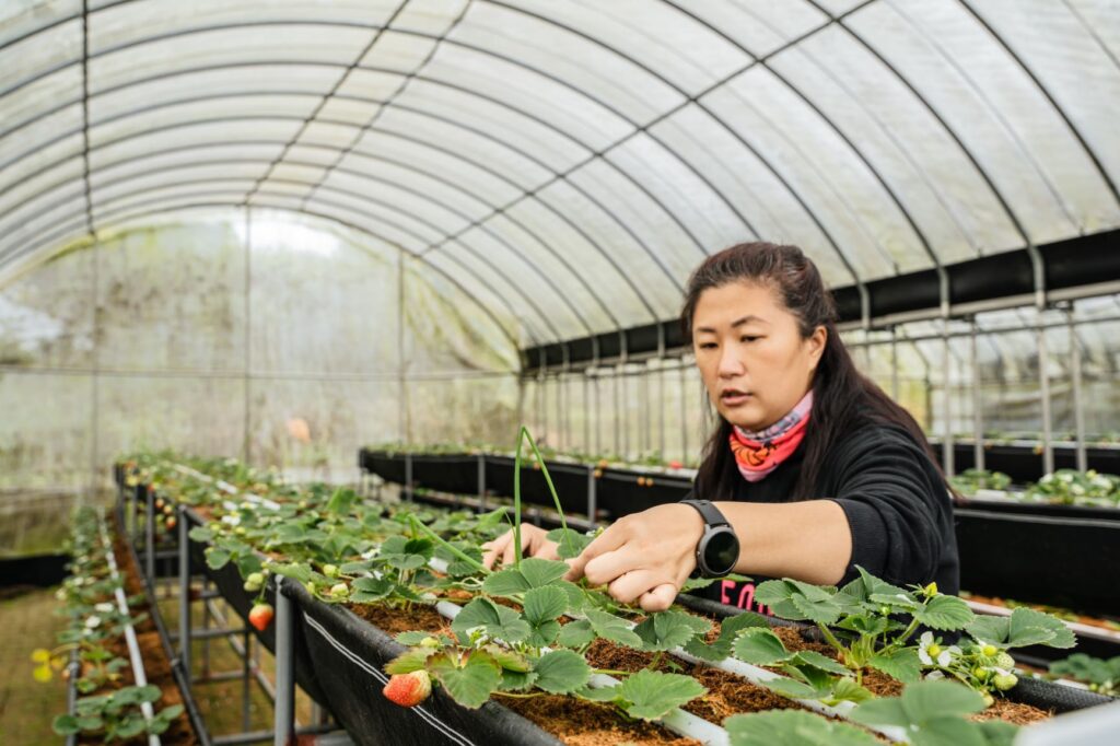 ▲對栽種花卉與蔬果的女性達人而言，女力的典型將是社會正向動力。（圖/新北市農業局 提供）