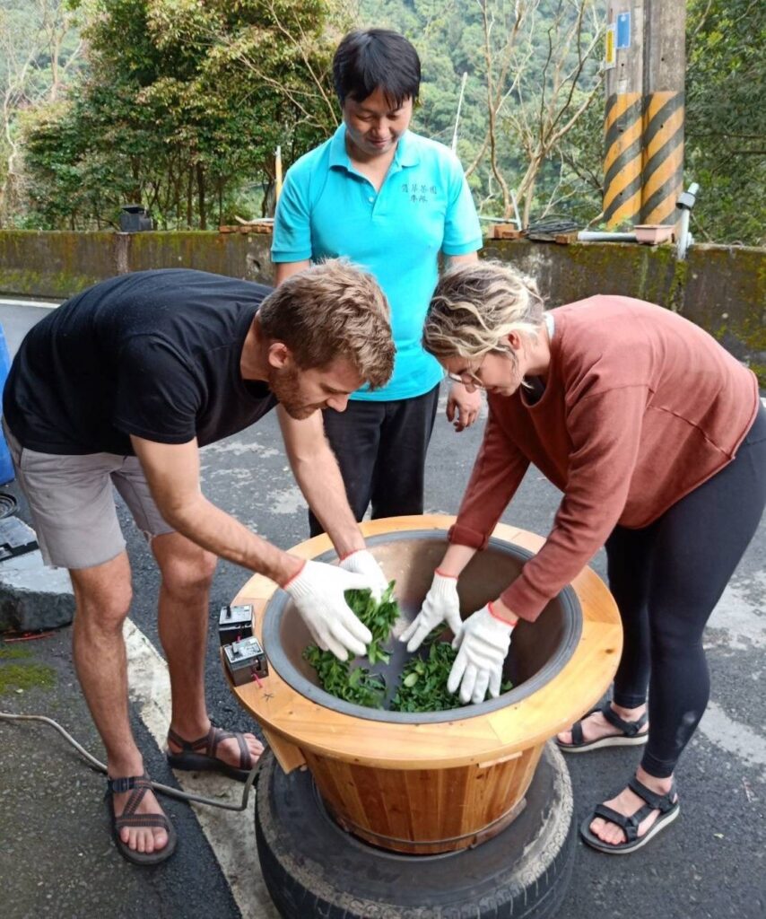 ▲茶農曾仁宗（中）指導外籍人士學習製茶過程。（圖/新北市農業局 提供）