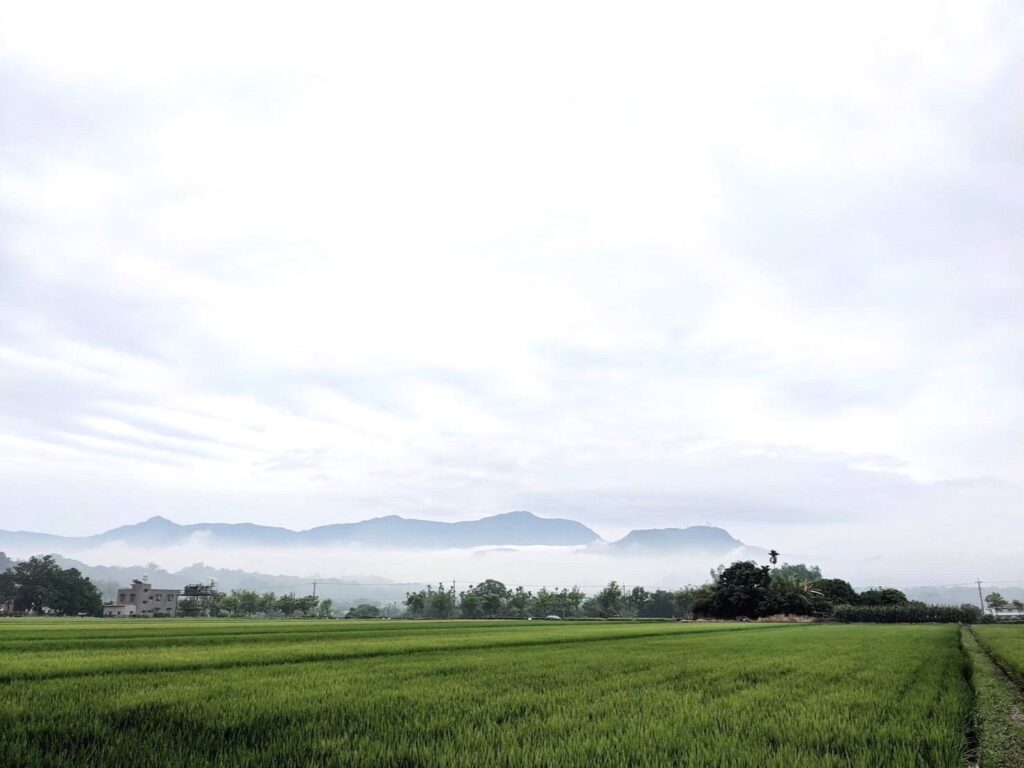 遠山雲霧冉冉飄動，一片稻浪隨風擺動，悄悄撫慰觀者心靈，呈現歲月靜好祥和樂章。(圖/白荷陶坊提供)