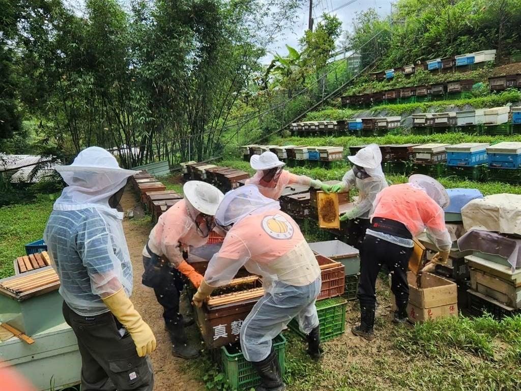 ▲平溪養蜂產業相當收到重視。（圖/新北農業局 提供）