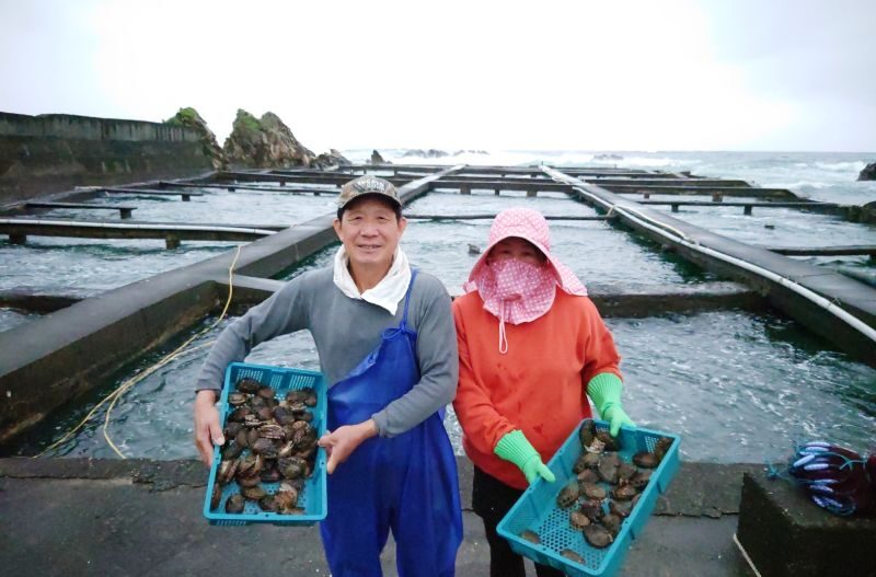 ▲新北貢寮區澳底漁港的漁民，皆能烹製海味料理。