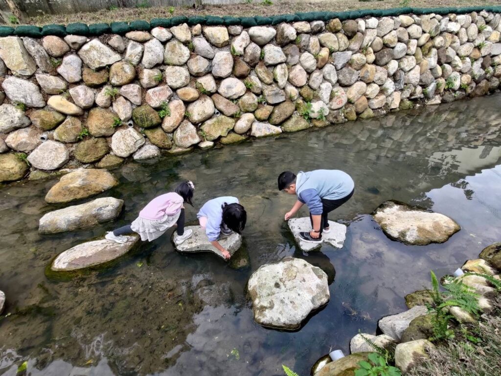 ▲生態景觀的教育課程,新北市農業局有諸多著墨。(圖/新北市農業局 提供)