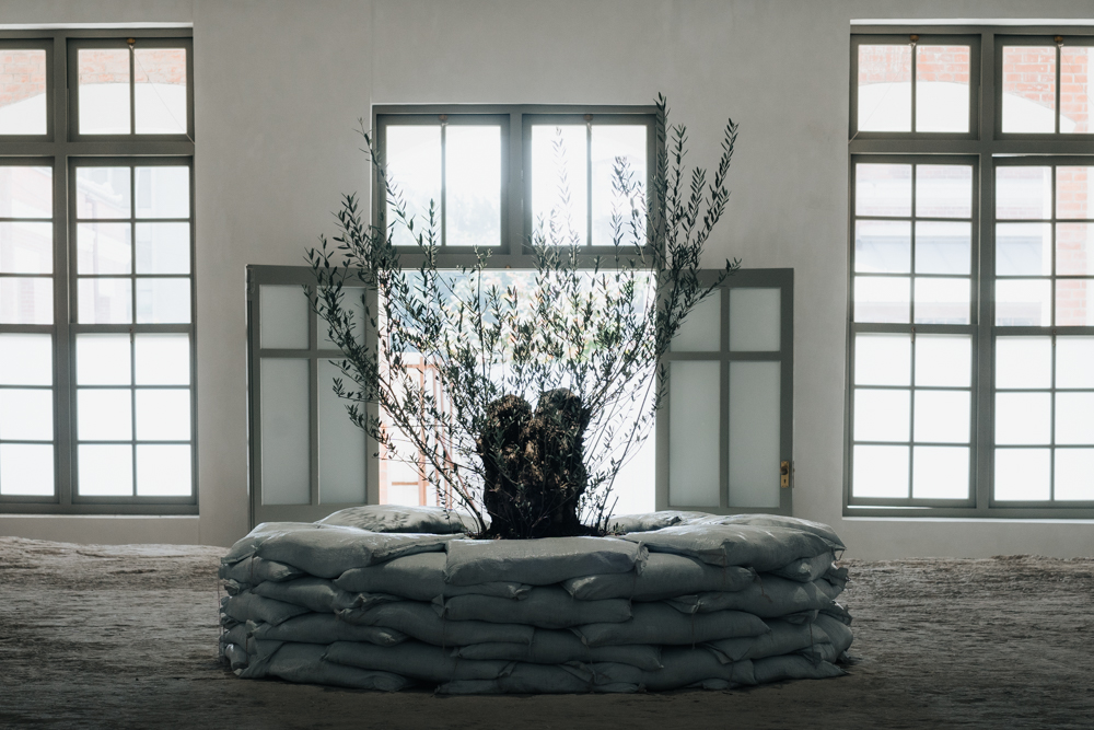 本次展覽彩蛋-防空洞的頂部，策展人在此空間利用橄欖樹做出藝術裝置。（圖/文化局提供）