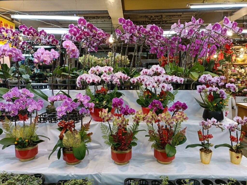 ▲板橋花市供應的花卉應有盡有。（圖/新北農業局 提供）