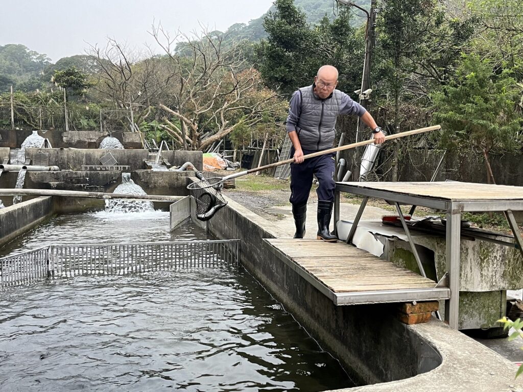 ▲養殖戶遵守相關管理規定，讓新北市水產品的養殖業呈現品質優化的發展。（圖/新北漁業處 提供）