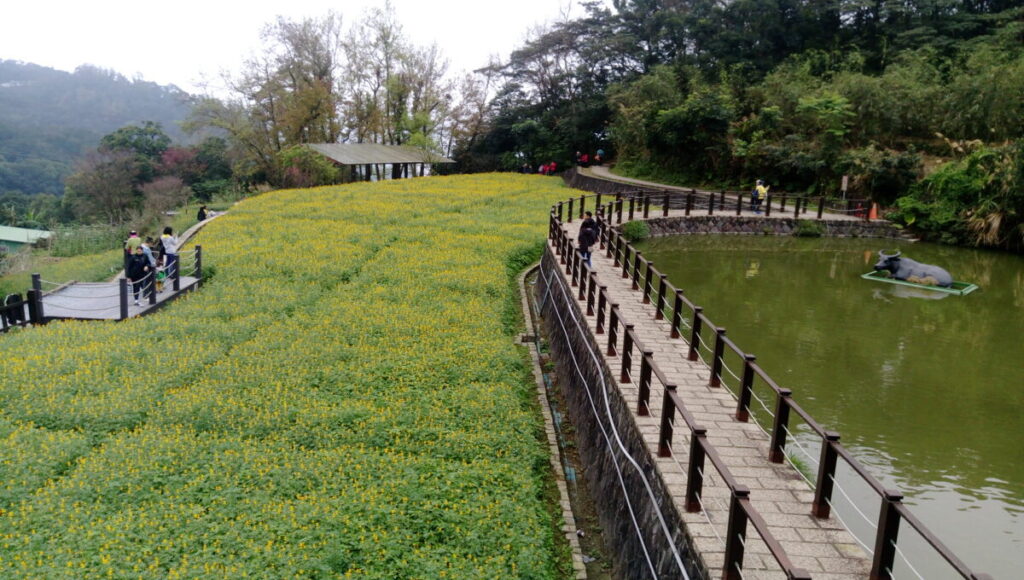 ▲台北市郊的大自然景觀讓民眾樂於親近。