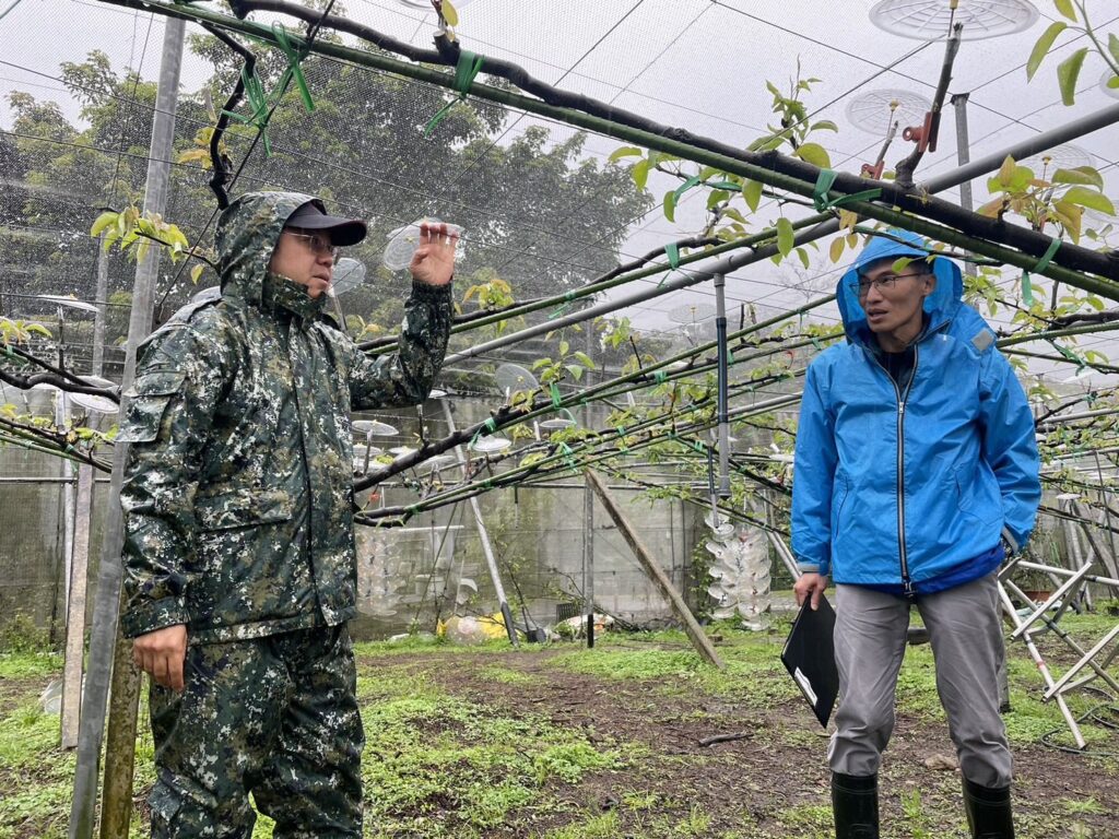 ▲新北三區淡水、三芝與金山，高接梨穗農損，備受農業局關切。（圖/新北農業局 提供）