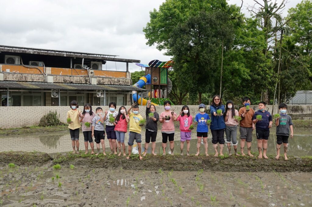 ▲雙溪師生的農耕活動呈現休耕田變教室的趣味。（圖/新北農業局 提供）