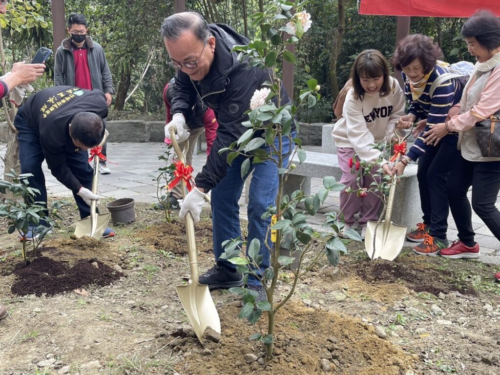 ▲阿里山風管處主辦種植茶花活動。（圖/阿里山風管處 提供）