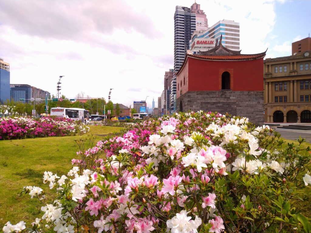 臺北市的杜鵑已進入開花季節，此為北門廣場。（圖/臺北市政府公園處提供）