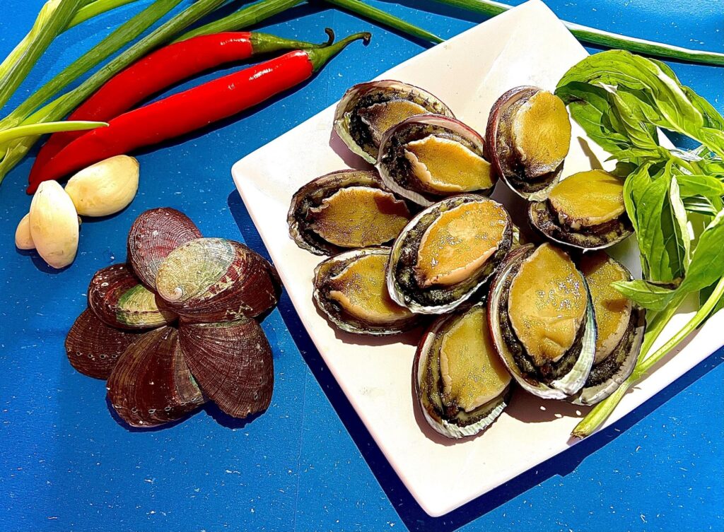 ▲貢寮鮑品質優異且具口感，料理頗受歡迎。（圖/新北漁業處 提供）