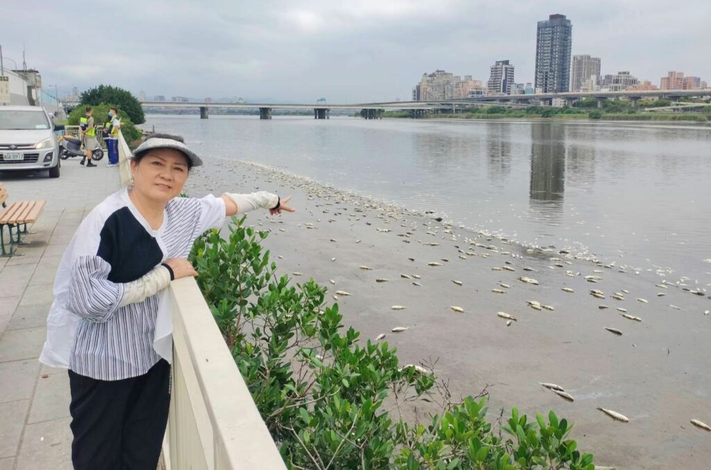 ▲陳穎慧里長指著淡水河面漂起的大面積死魚，感到極度痛心與難過，對有關單位的整治防範表達關切與憂慮。（圖/陳穎慧 提供）