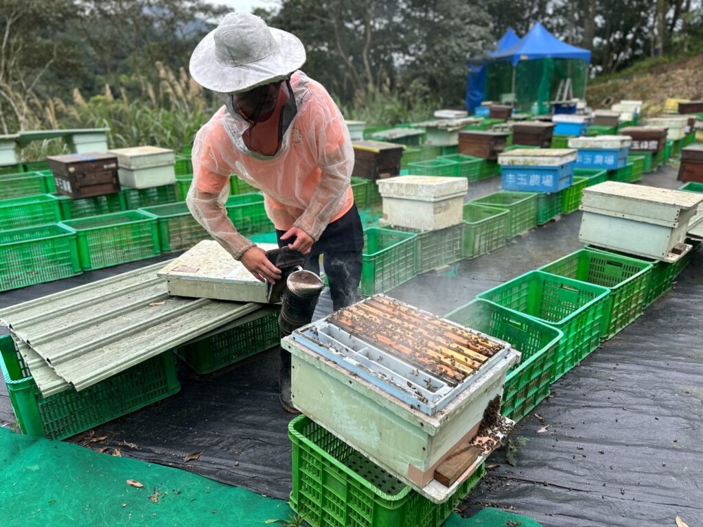 ▲養蜂的專注讓蜂蜜品質絕佳。（圖/新北市農業局 提供）