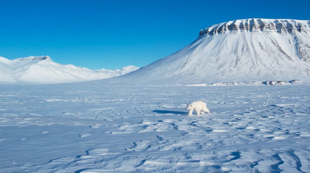 ▲南極大陸的極美景觀在「守護我們的星球」節目中完整呈現。（圖/舒夢蘭 提供）