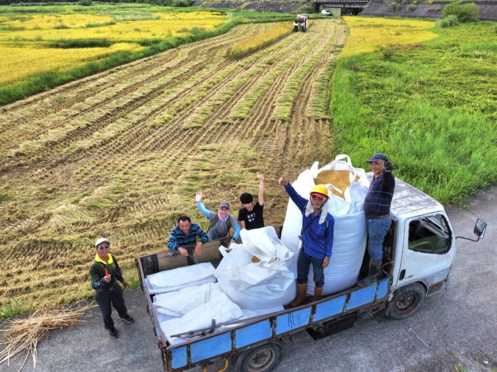 ▲新北田寮洋羽豐米上市，農民開心至極。（圖/新北市農業局 提供）