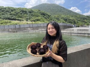 ▲東北角頂級美味紫海膽，遠近馳名。