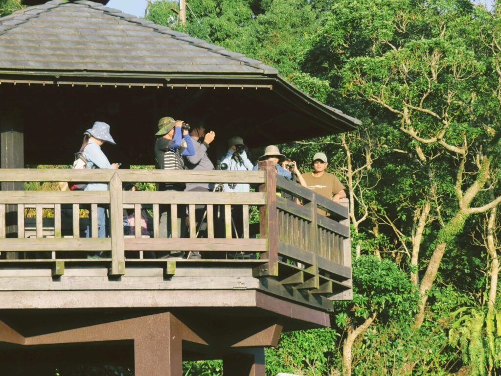 ▲透過觀察與紀錄，讓參與者在生態教育的啟發上有十足的收獲。（圖/新北市農業局 提供）