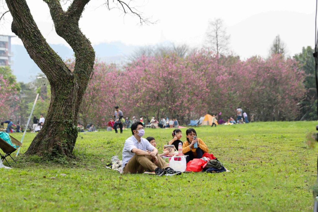 ▲三峽綠茶季食農野餐派對登場。(圖/新北市農業局 提供)