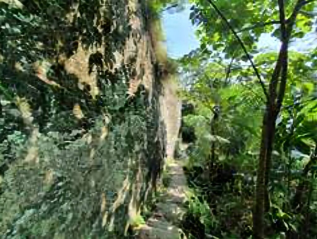 ▲獅頭山步道綠意盎然,林蔭遮蔽,漫步其中清新舒適。(圖/新北市觀旅局 提供)