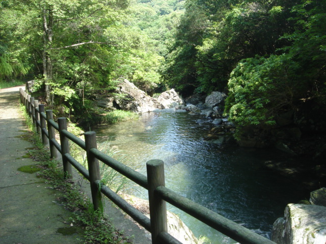 県民の森