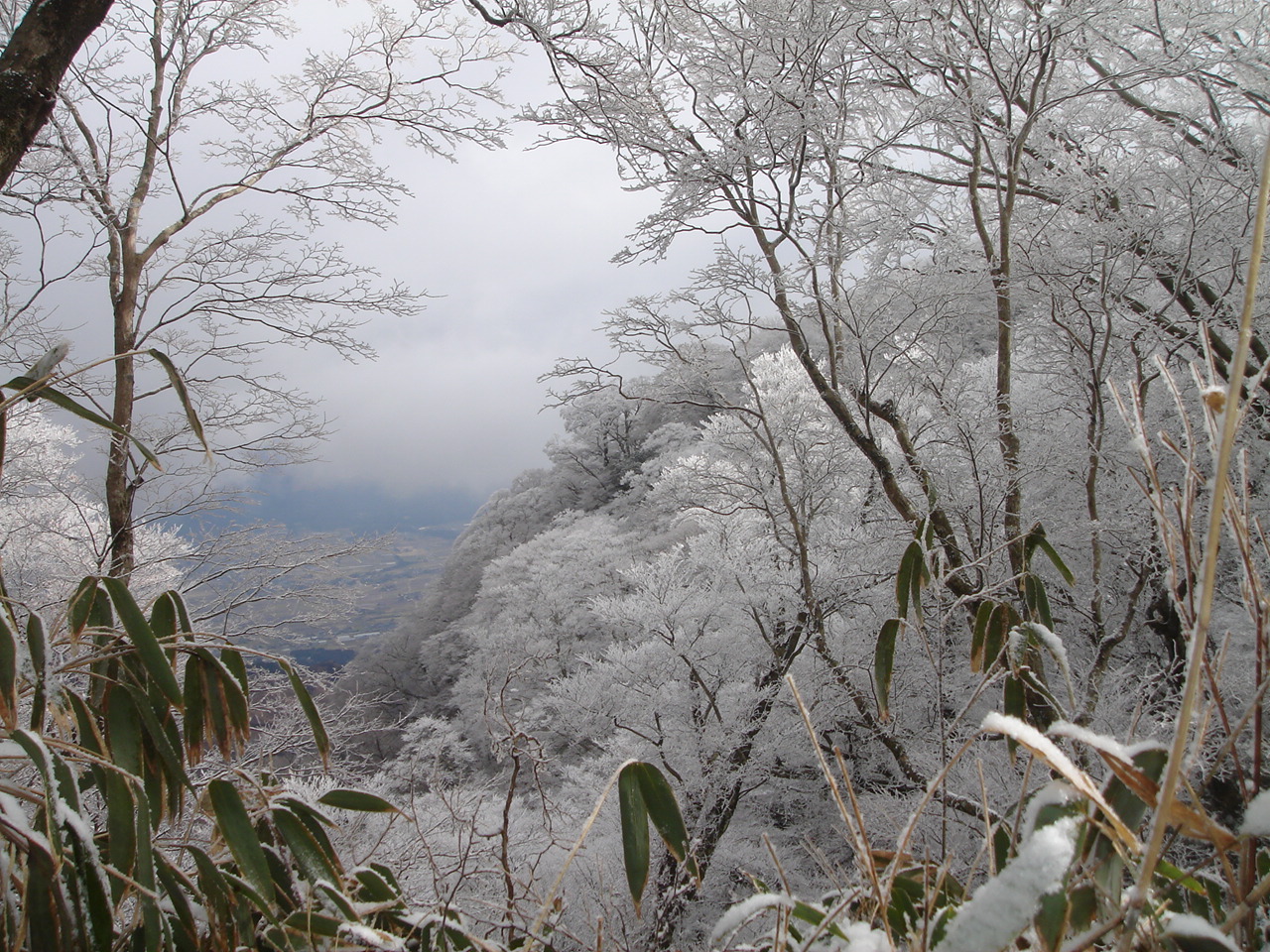 霧氷の南阿蘇外輪山