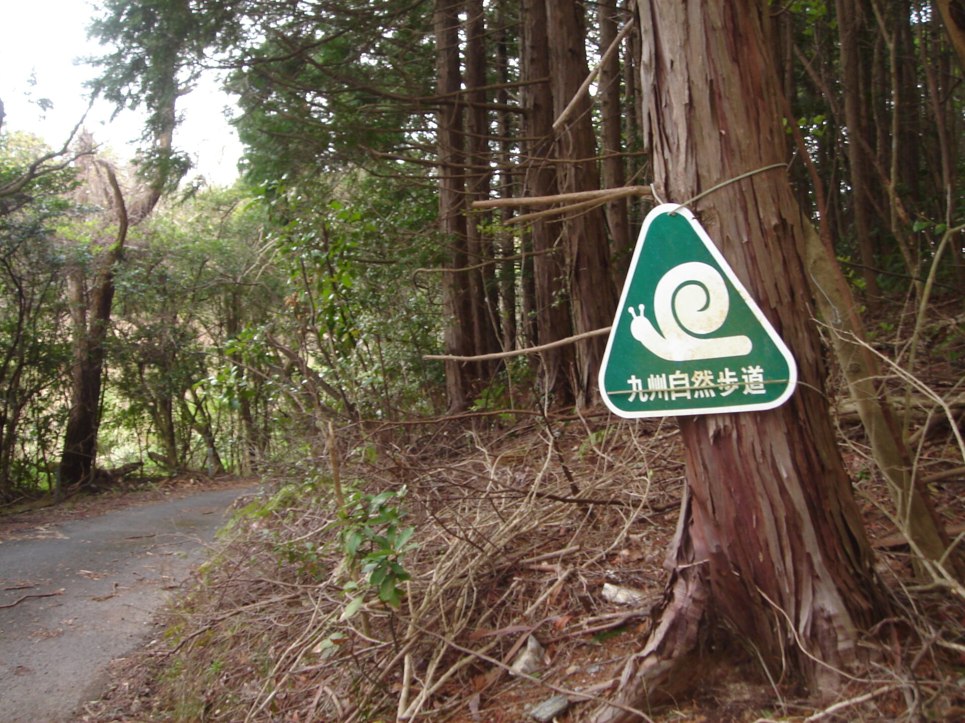 九州自然歩道/かたつむり