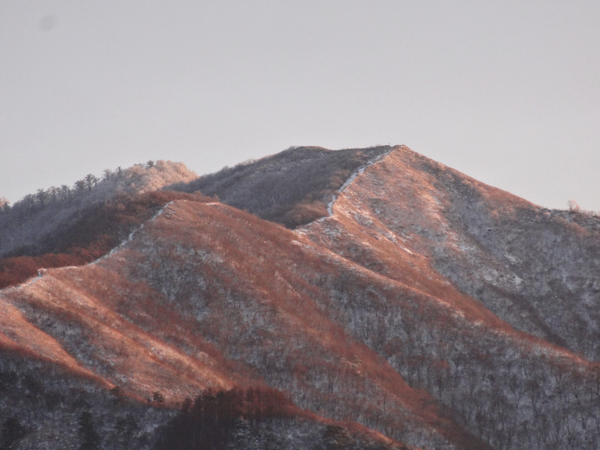 蒜山（ひるぜん）