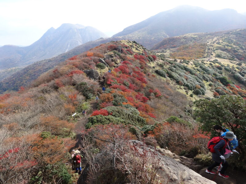 九重連山沓掛山付近の紅葉