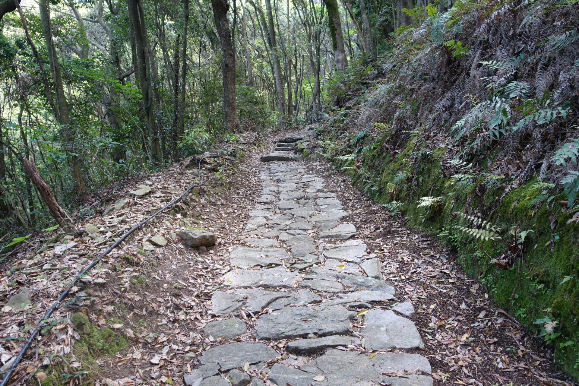 豊前坊への石だたみ道