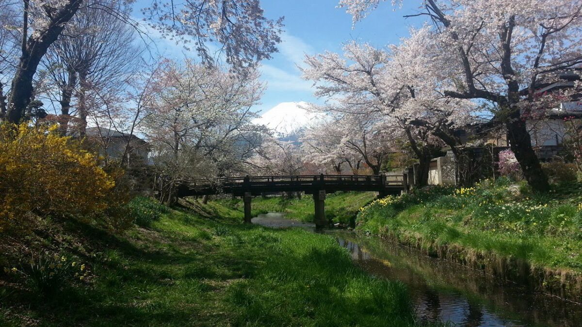 忍野八海