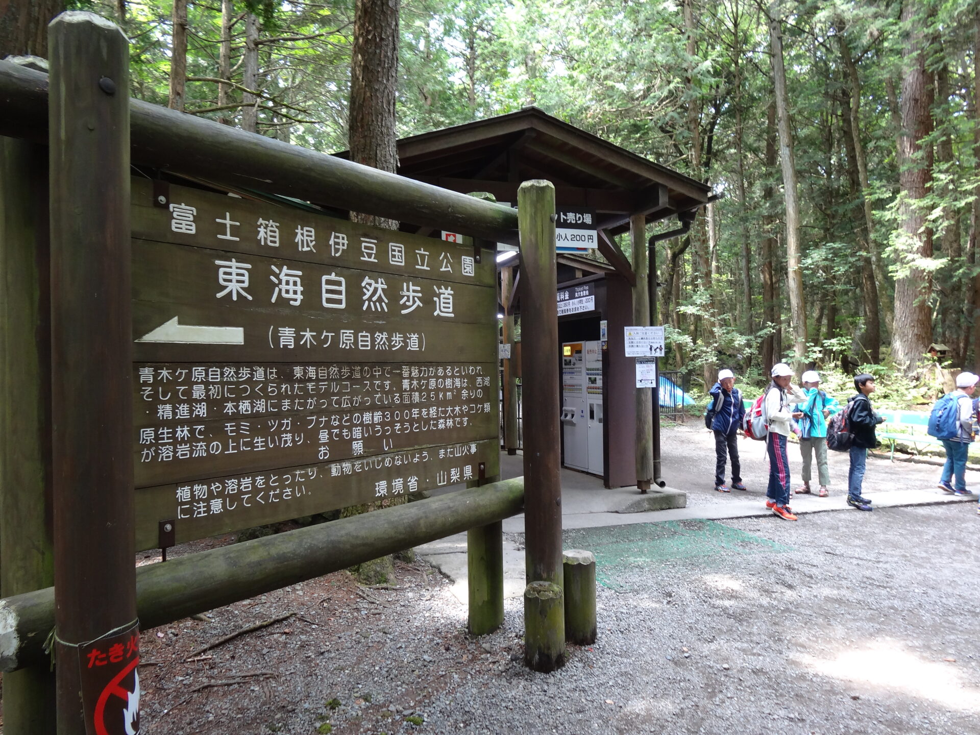 青木ヶ原樹海