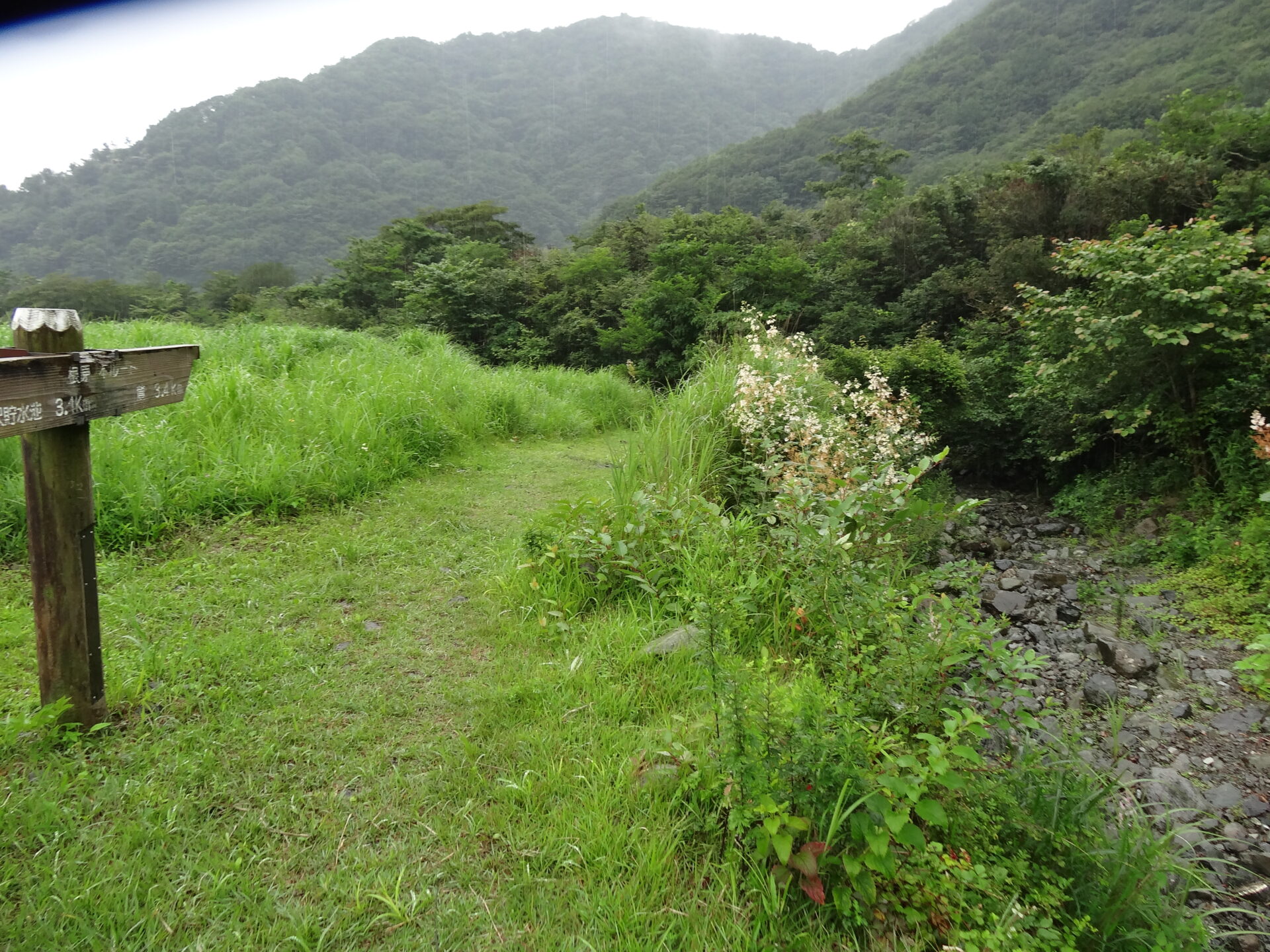 朝霧高原