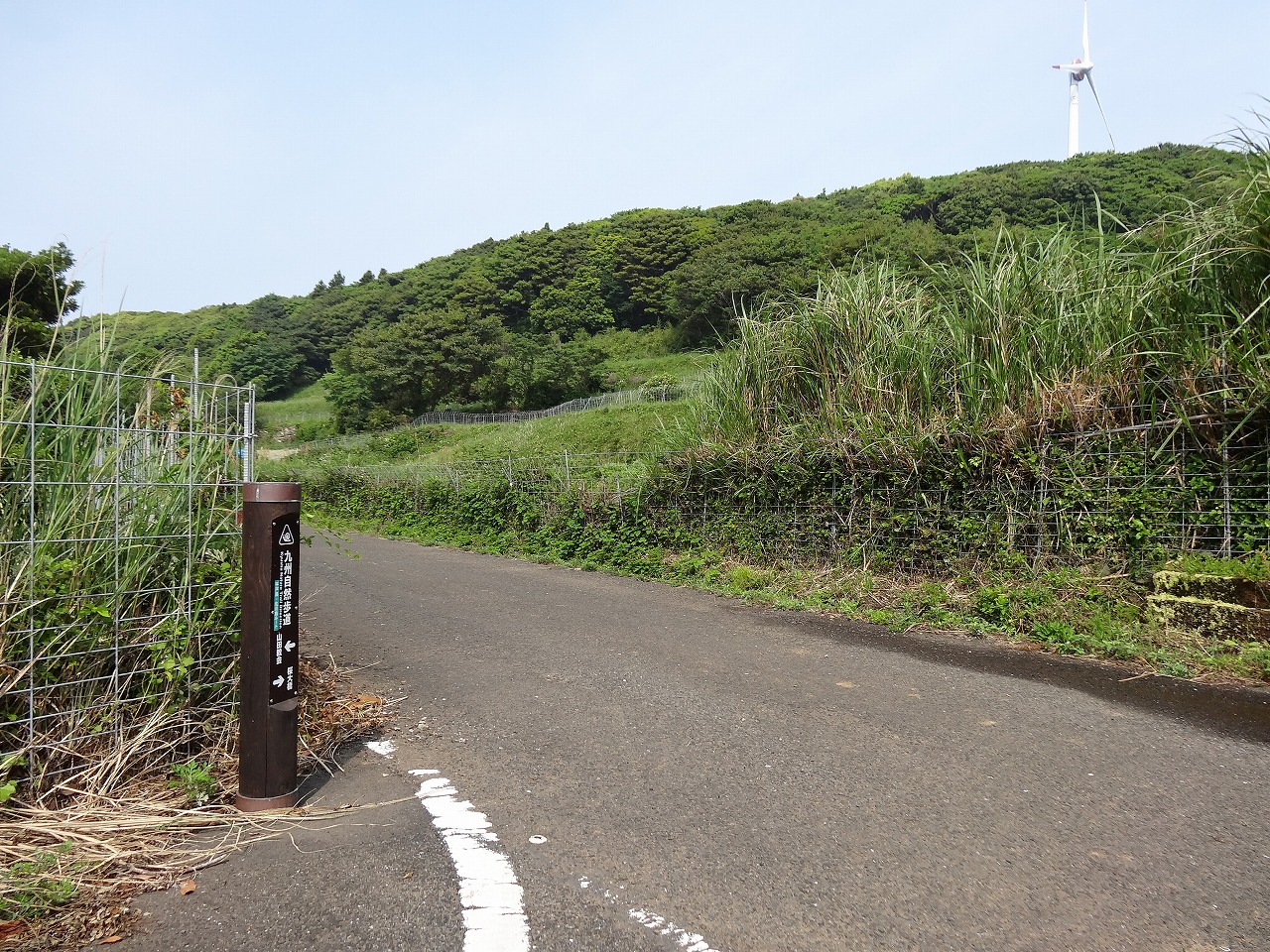 平戸島