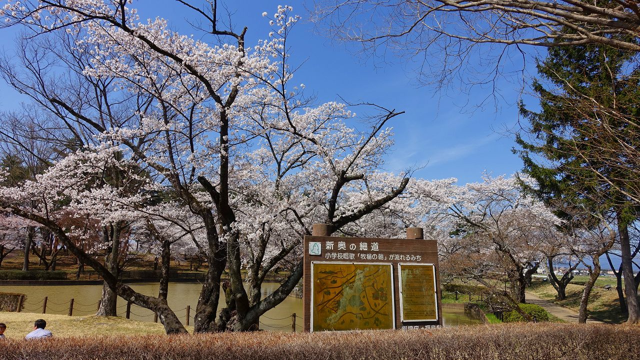 鳥見山公園