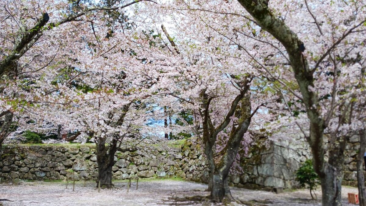 鶴ヶ城