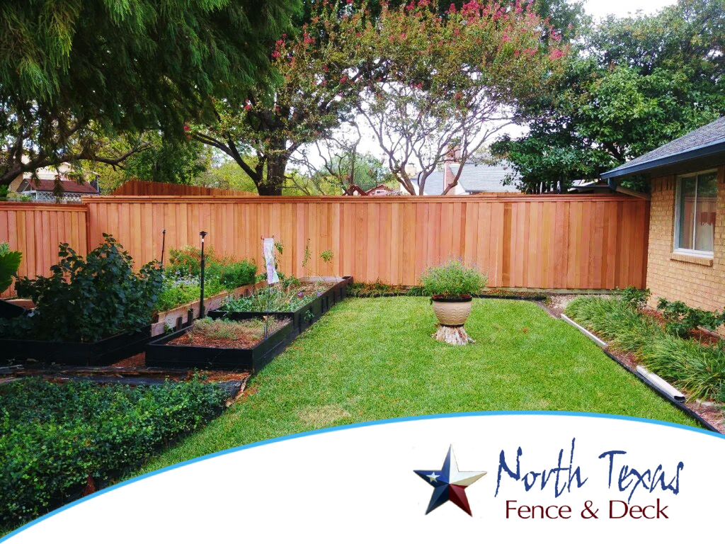 Wood Fence for Your Backyard