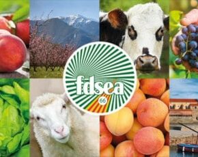 FRISE FDSEA bis