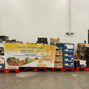 8d06719e telethon 2