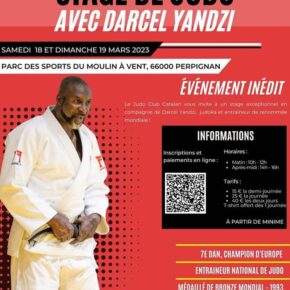 F95f2287 affiche stage